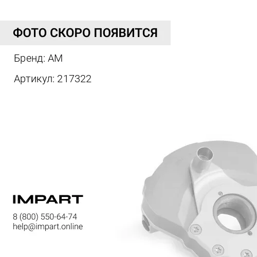 217322 Демпфер вибрации передний AM