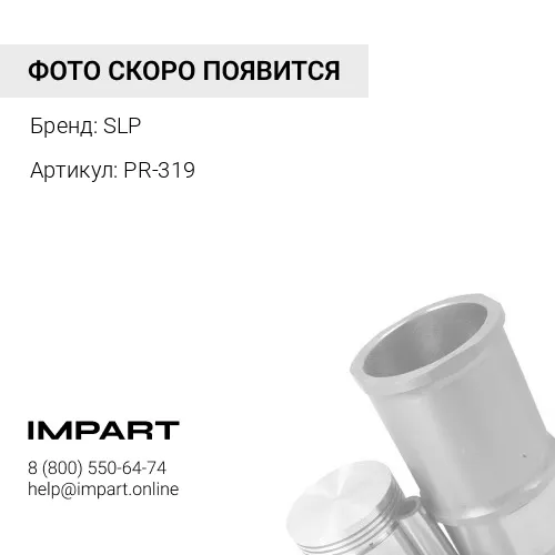 PR-319 Поршневые кольца коробка SLP