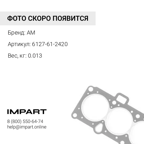 6127-61-2420 уплотнение AM
