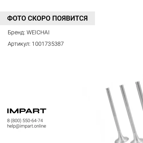 1001735387Клапан впускной Weichai 1001735387 WP4.1NQ190E50 WEICHAI