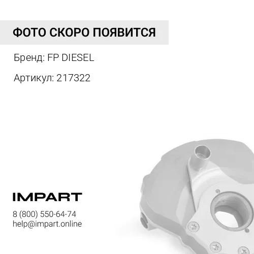 217322 Демпфер резонансных колебаний FP DIESEL