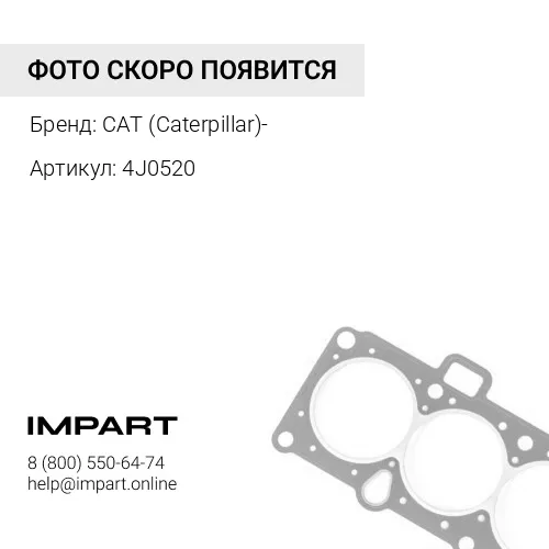 4J0520КОЛЬЦО