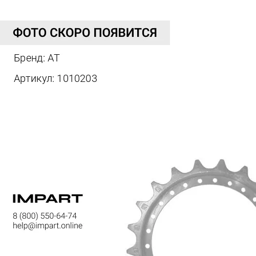 1010203 Звездочка 1010203
