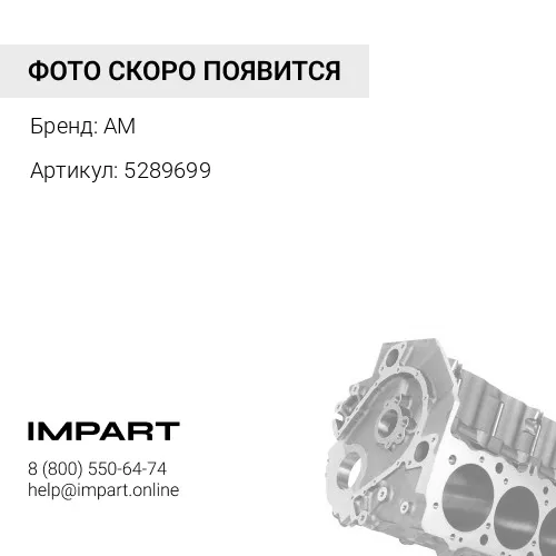 5289699 Блок цилиндров AM