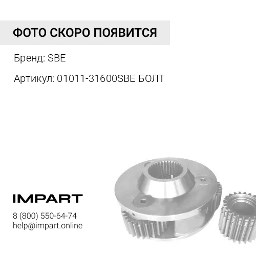 01011-31600 SBE