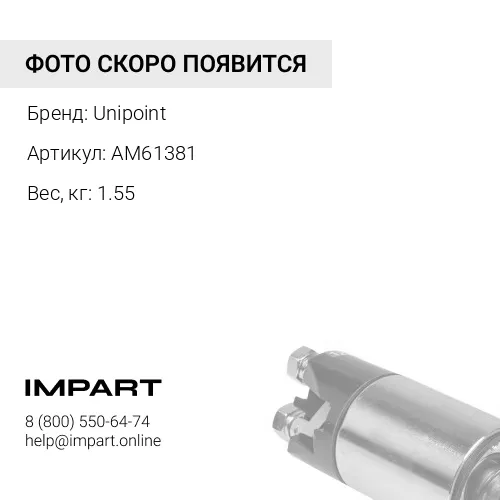 AM61381 Ротор стартера Unipoint