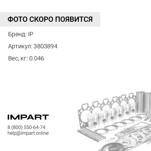 3803894 Комплект сальника крышки переднего блока шестерен IP