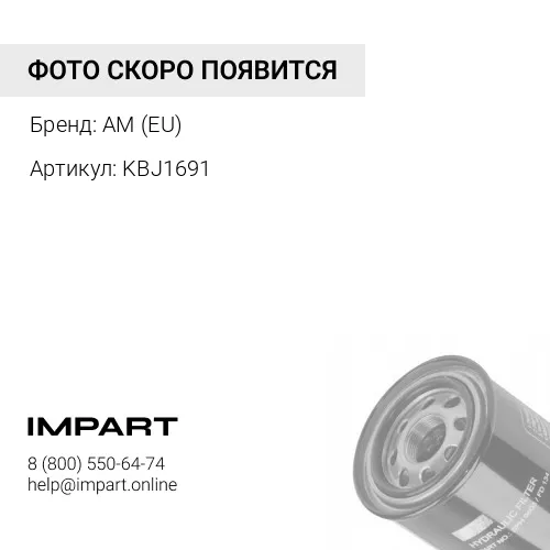KBJ1691 Фильтр AM (EU)