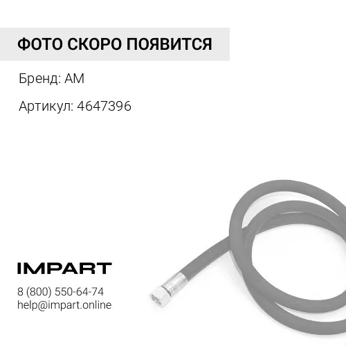 4647396 РВД AM