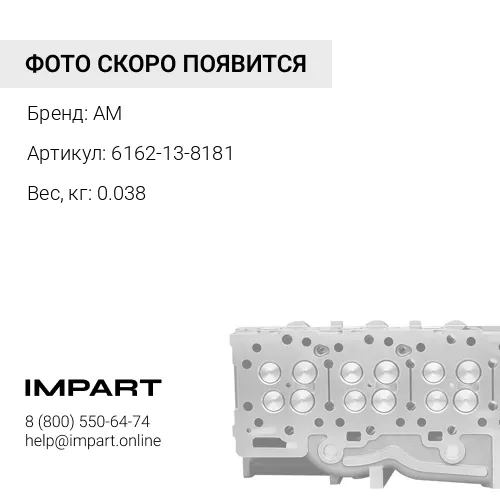 6162-13-8181 уплотнение форсунки AM