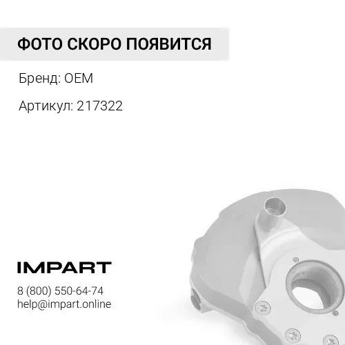 217322 Демпфер вибрации передний OEM