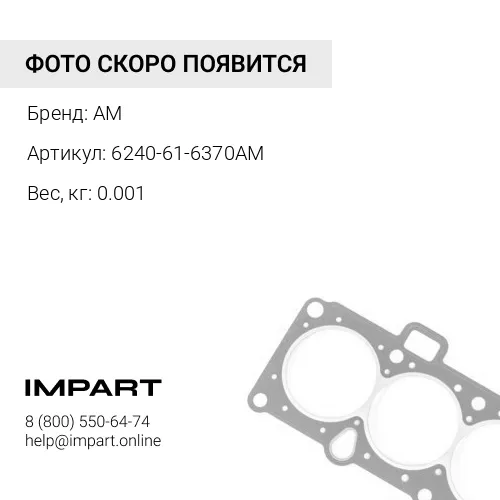 6240-61-6370AM ПРОКЛАДКА ТИП "О" AM