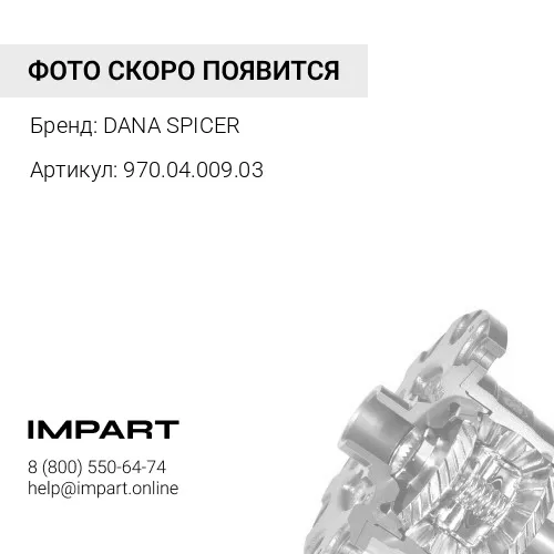 970.04.009.03 Шестерня дифференциала DANA SPICER