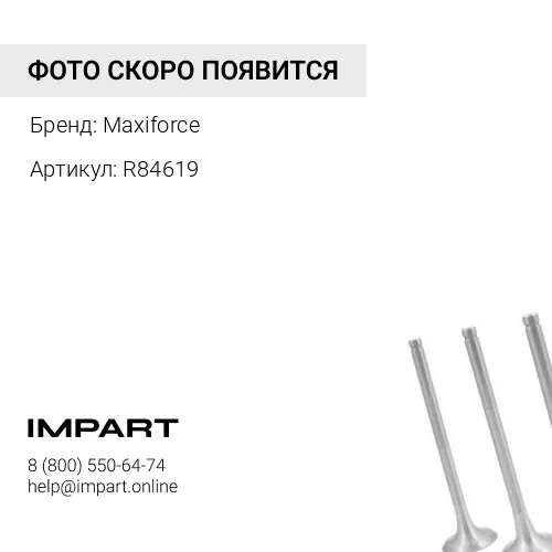 R84619 Клапан выпускной R84619/ TR84619 / R504061 Maxiforce