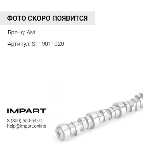 S119011020 Вкладыш распредвала J05E/J08E S119011020 AM