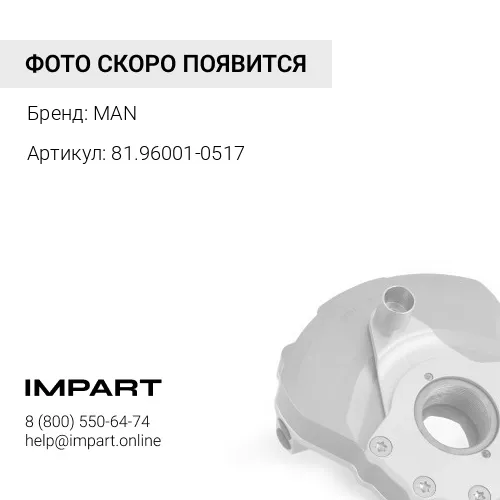 81.96001-0517 демпфер крепления бампера MAN