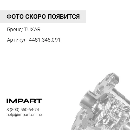 4481.346.091 Шестерня дифференциала ТXR-01008074 TUXAR