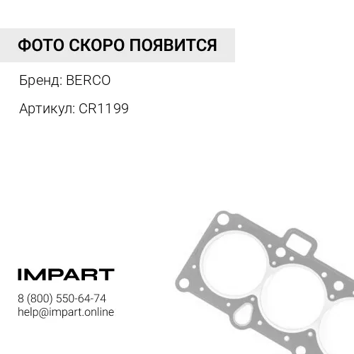 CR1199 Уплотнение BERCO