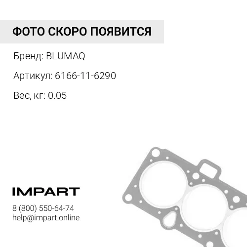 6166-11-6290 Прокладка тип "О" BLUMAQ