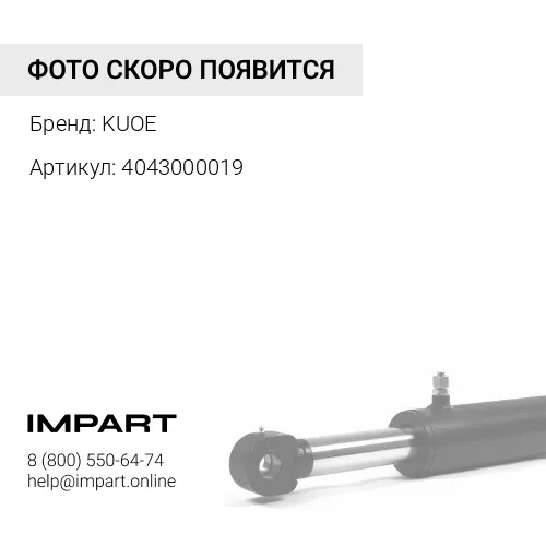 4043000019 Палец стрелы задний KUOE