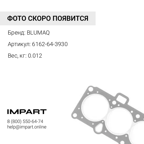 6162-64-3930 Уплотнение BLUMAQ