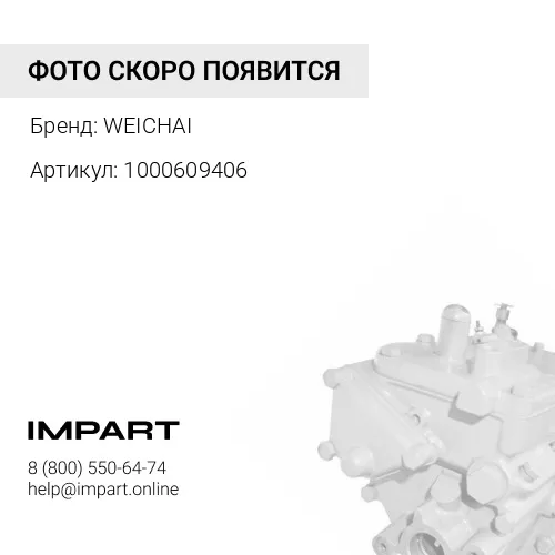 1000609406 Топливный насос высокого давления 1000609406 WEICHAI