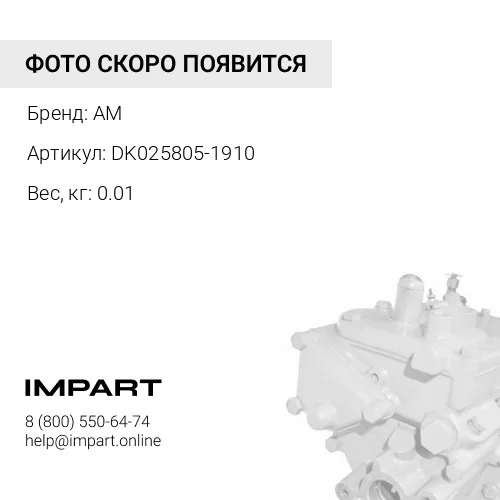 DK025805-1910 Шпонка AM