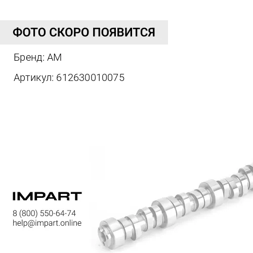 612630010075 Втулка распредвала AM