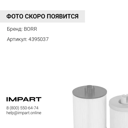 BR4395037 (Borr) Фильтр топливный