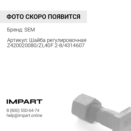 Z420020080 Шайба регулировочная Z420020080/ZL40F.2-8/4314607 SEM