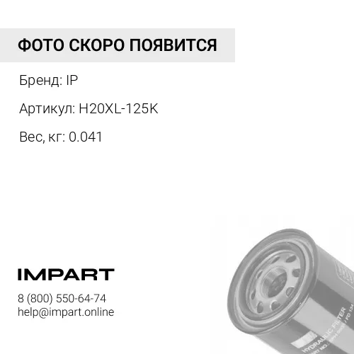 H20XL-125KГидравлический фильтроэлемент IP