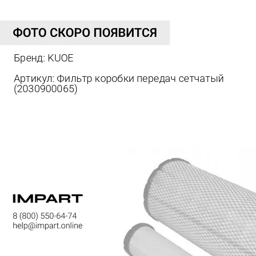 Фильтр коробки передач сетчатый 2030900065 KUOE