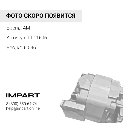 TT11596 Генератор 113373