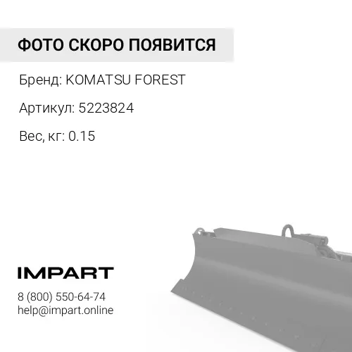 5223824 ПЛАСТИНА