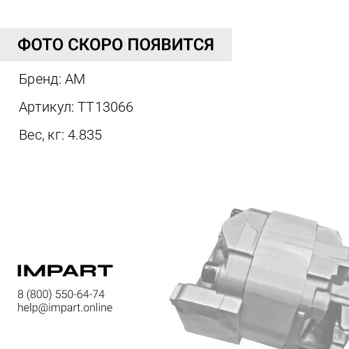 TT13066 Генератор TT13066