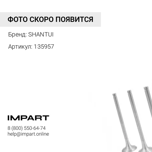 135957 Клапан впускной 135957 SHANTUI