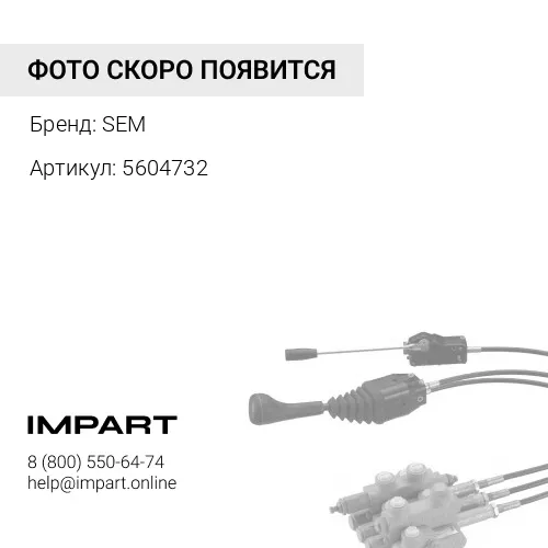5604732 Наконечник рулевой тяги (без гайки) SEM