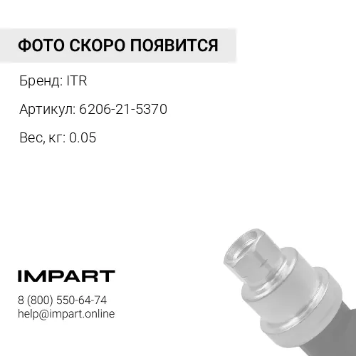6206-21-5370 Щуп ITR