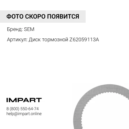 Z62059113A Диск тормозной Z62059113A SEM