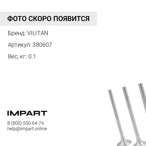 380607 Ремень ручейковый 8PK1755 380607 VILITAN