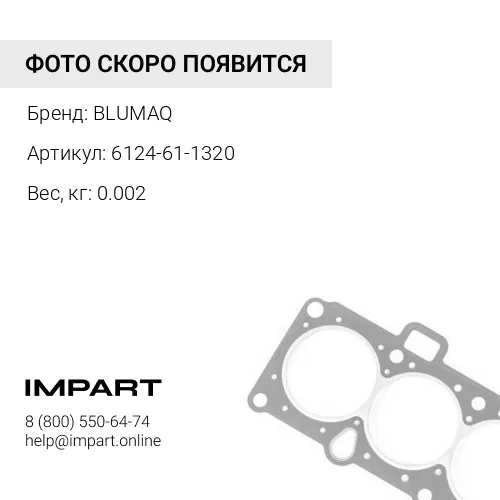 6124-61-1320 Кольцо BLUMAQ