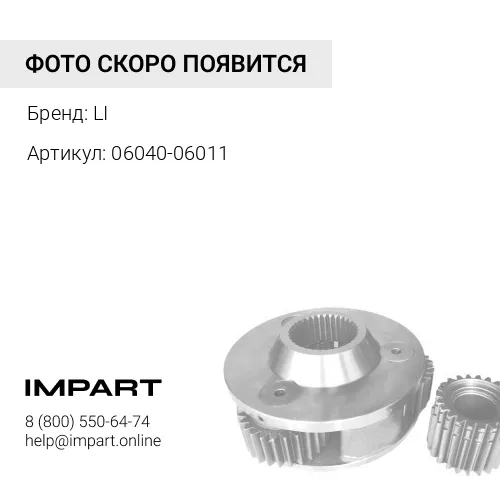 06040-06011 Подшипник LI