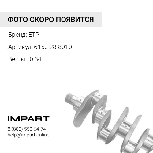 6150-28-8010 Вкладыш коренной ETP