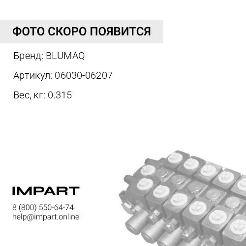 06030-06207 Подшипник BLUMAQ