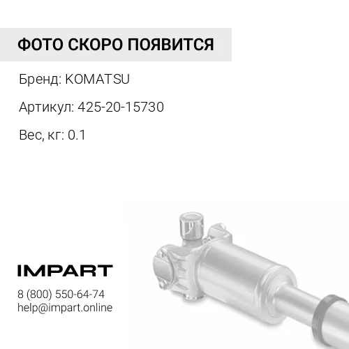 425-20-15730 САЛЬНИК KOMATSU