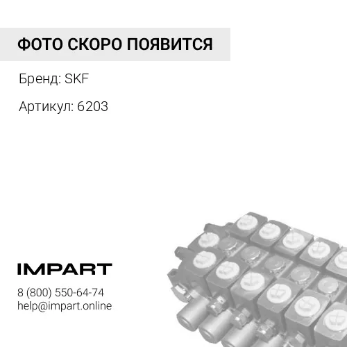 6203 Подшипник 2RS1