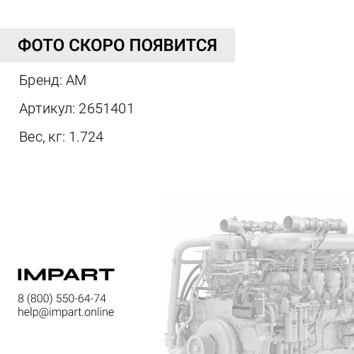 2651401 Поршень