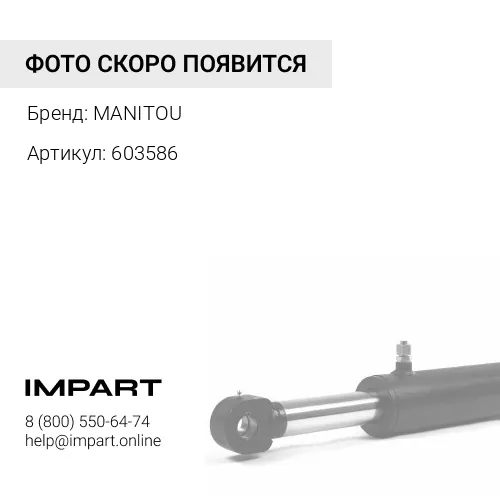 603586 603586 Ремкомплект цилиндра подъема стрелы MANITOU