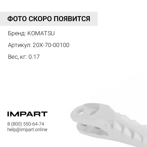20X-70-00100 ШТИФТ В СБОРЕ
