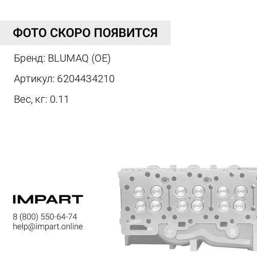 6204434210 ВЫХЛОПНОЙ КЛАПАН